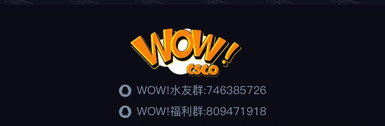 新开箱网站来啦！开箱网址：www.wowcsgo.com/promotion/wow666  -图4