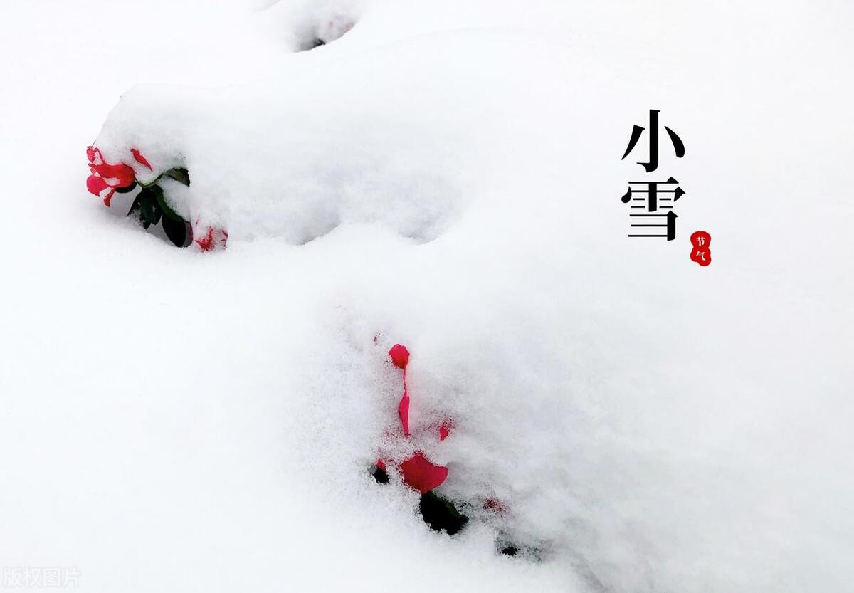 “小雪见3象，遍地坟头起”！今日小雪，过年冷不冷就看小雪表现  -图6