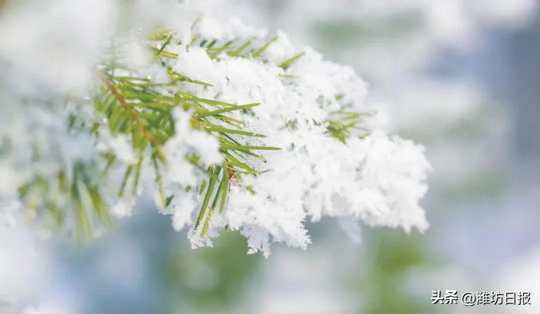 今日小雪  -图2