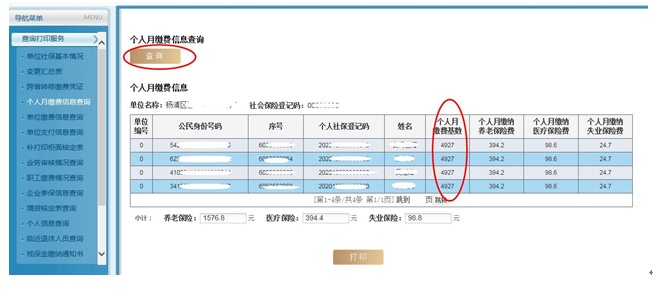 【指导】单位、个人社保费缴纳金额怎么查？攻略来啦！-图7