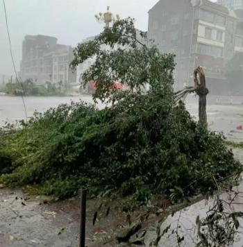 冷创新高！大雨、暴雨分布地区已确定，今夜至26号天气预报  -图12